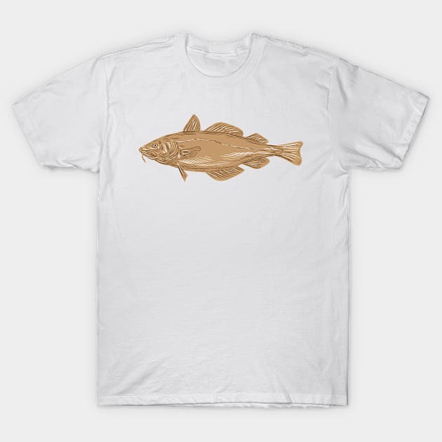 Atlantic Cod Codling Fish Drawing T-Shirt by patrimonio